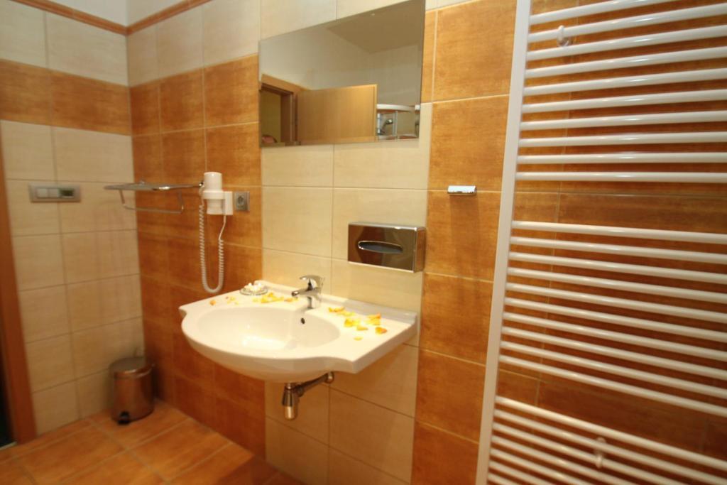 Hotel Slovan Jeseník 部屋 写真