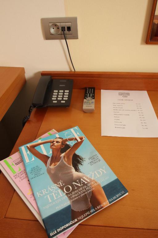 Hotel Slovan Jeseník 部屋 写真